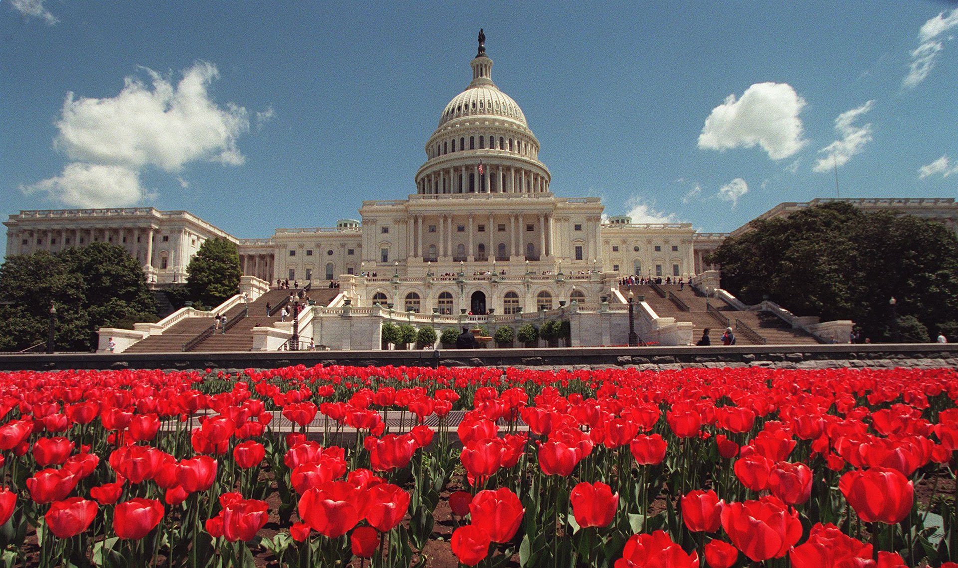 The United States Capitol Building.