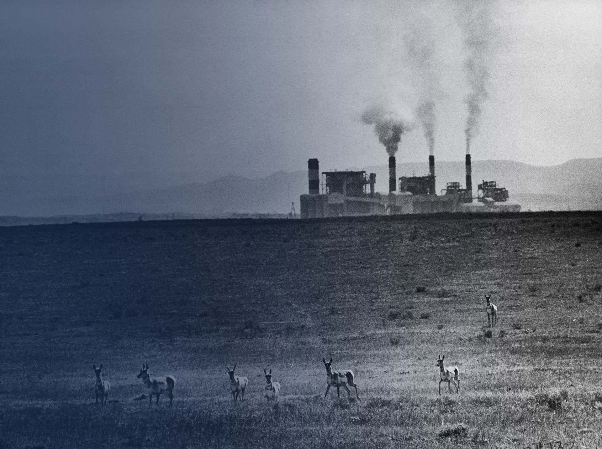 A herd of antelope shared its range with the Dave Johnston power plant of Pacific Light and Power Co. near Glendo, Wyoming, in 1974.